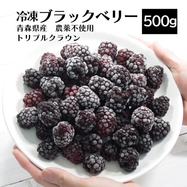 （冷凍）青森県産農薬・化学肥料不使用ブラックベリー果実（トリプルクラウン）サイズ混合約500g　国産...