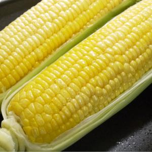 (冷蔵)青森とうもろこし嶽きみ(だけきみ)M〜...の詳細画像3