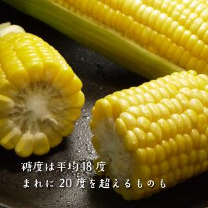 (冷蔵)青森とうもろこし嶽きみ(だけきみ)M〜...の詳細画像5