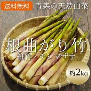 （冷蔵）青森の天然山菜「根曲がり竹」（細竹・チシマザサ）約2kg[佐々木さん]5月中旬頃から採れたて次第発送予定｜ハイネットショップヤフー店