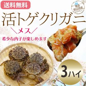 （冷蔵）活青森トゲクリガニ[メス]3ハイ（約600〜700g前後）[青森野辺地産]※水揚げ次第のになります