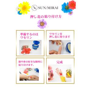 押し花乾燥シートの商品一覧 通販 Yahoo ショッピング