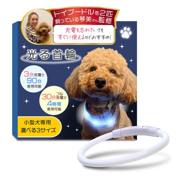 【トイプーのなむちゃん愛用！】光る首輪 LED 【3分充電で90分使用可能】（小型犬専用ｘサイズ調整...