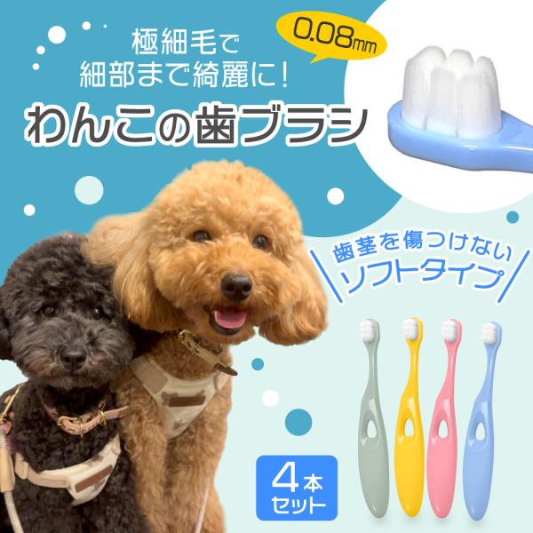【４本セット】 わんこの歯ブラシ（小型犬専用）ペット用 犬 犬用 歯ブラシ 猫用 極細 歯磨き ハブ...
