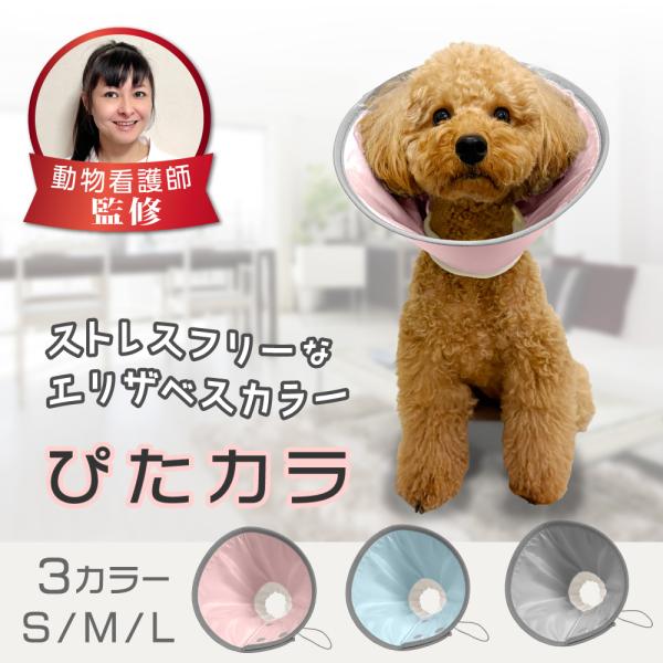 【獣医師監修】 エリザベスカラー （ぴたカラ） エリザベスカラー 嫌がる 小型 中型犬 布 クッショ...