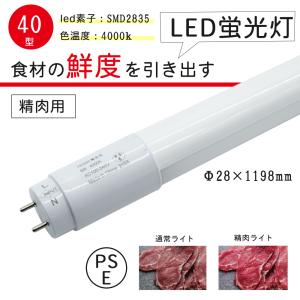 ODELIC（オーデリック） NO.440RB S LED-TUBE ランプ 40形 昼白色 G13