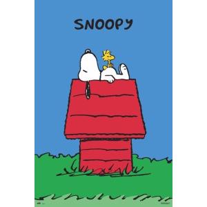 スヌーピー ポスター フレーム付 最安値 価格比較 Yahoo ショッピング 口コミ 評判からも探せる