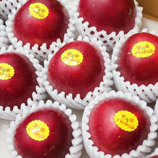 パッションフルーツ 12玉前後 約800g~1kg 鹿児島県産