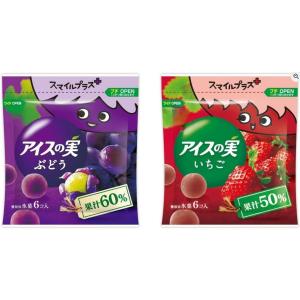 [冷凍] スマイルプラス+ アイスの実<ぶどう><いちご>アソート42ml×24個