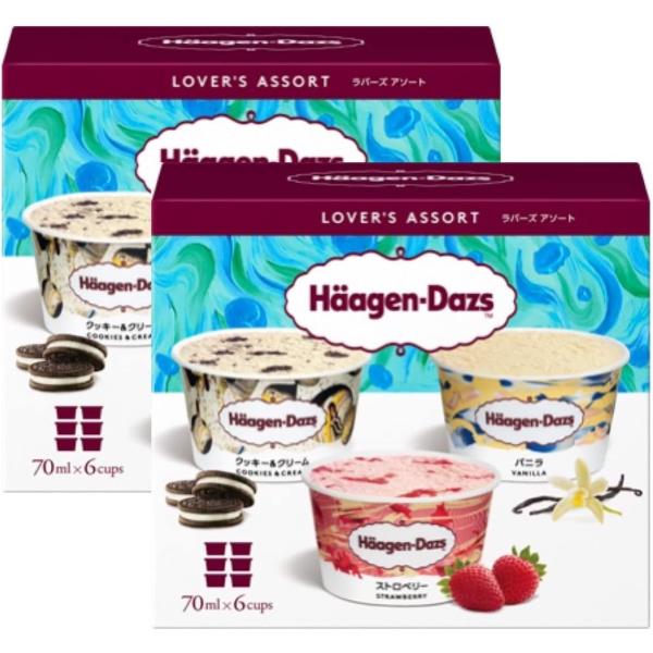 ハーゲンダッツ アソートボックス 2箱セット ラバーズアソート エレガントアソート スイートテラス ...
