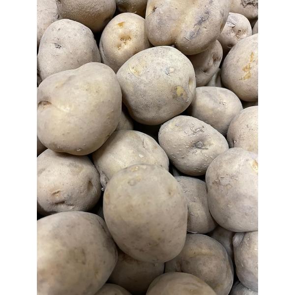 北海道産 きたあかり じゃがいも ジャガイモ (5kg)