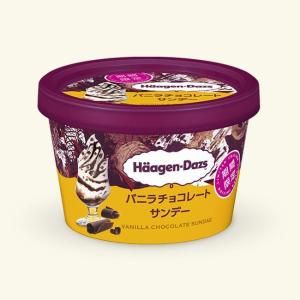 ハーゲンダッツ バニラチョコレートサンデー 11...の商品画像