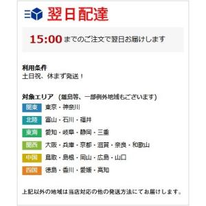 水着 レディース 6301 ビキニ 体型カバーの詳細画像4