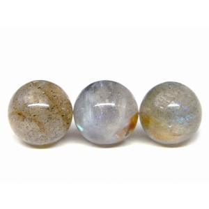Lucky365 1粒売り 天然石 星月菩提樹 菩提樹の種 親玉・ボサセット