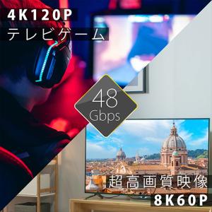 HDMIケーブル 最新規格Ver2.1 2m ...の詳細画像2