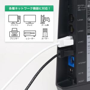 スリム LANケーブル 1m CAT6A 10...の詳細画像1