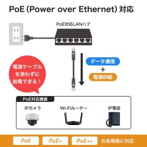 LANケーブル 0.3m CAT6A 10Gb...の詳細画像4