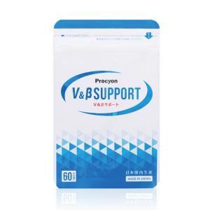 プロキオン V＆βサポート 正規品 procyon 京福堂 30日分 男性 活力ケア 厳選配合 即効性 サプリメント サプリ 持続力 活力剤 日本製の商品画像