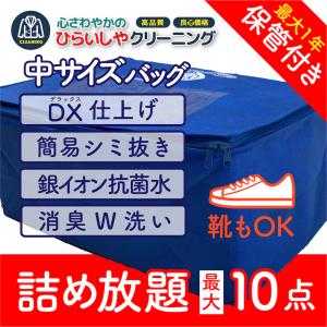 クリーニング 宅配 保管 衣替え  しみ抜き 99％除菌付