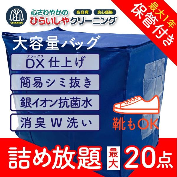 クリーニング 宅配 保管 衣替え 送料無料 しみ抜き 99％除菌付 100％手仕上げ 宅配クリーニン...