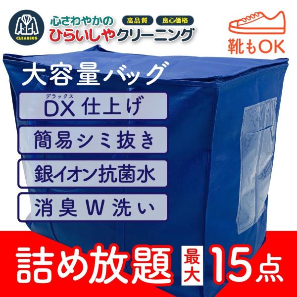 クリーニング 宅配 衣替え 送料無料 しみ抜き 99％除菌付 100％手仕上げ 宅配クリーニング 厚...