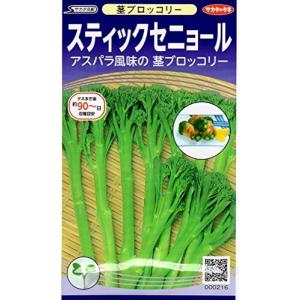スティクセニョール サカタの茎ブロッコリー種ですの商品画像
