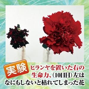 ヒランヤ サンヨーガ 手引書 神さまとつながる...の詳細画像3