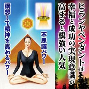 これが噂のヒランヤだ 新本 ピラミッドパワー ...の詳細画像1