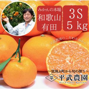 【農家直送!】有田みかん 3Ｓサイズ 5kg　和歌山｜有田｜田口｜こだわり