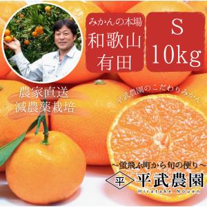 【農家直送!】有田みかん Ｓサイズ 10kg　和歌山｜有田｜田口｜お取り寄せ｜こだわり｜フルーツ｜贈答