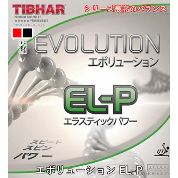 卓球 ラバー エボリューション EL-P  裏ソフト 回転系テンション EVOLUTION MX-D...