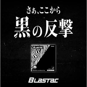 Nittaku ニッタク 卓球 ラバー ブラス...の詳細画像1