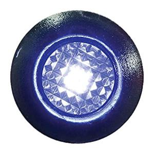 - SeaSense LED Utility/Livewell Light, Blue