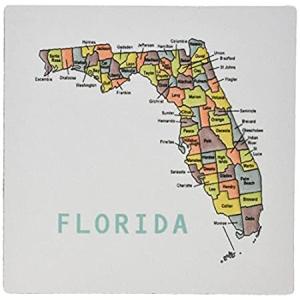 3dRose マウスパッド Color Map of Florida Counties