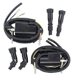 並行輸入品】NGK キャニスターコイル U1163 (48863) (オイル封入式