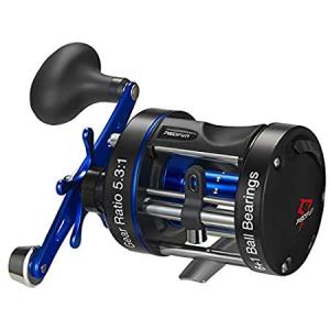 DAIWA（ダイワ） 【並行輸入品】ダイワ リール ソルティスト LW