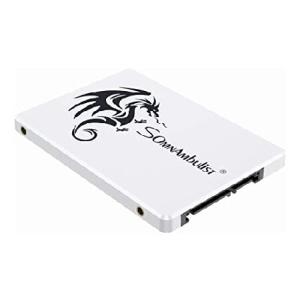 Somnambulist SSD 2tb 120gb sata Disk Built-in Hard Drive Suitable for Desktop Notebook Computers 960gb 240gb 60gb 480gb (White Dragon 480GB)の商品画像