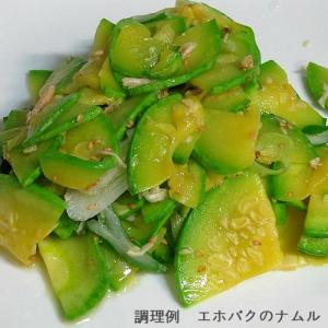 エホバク (韓国かぼちゃ) 韓国産の詳細画像2