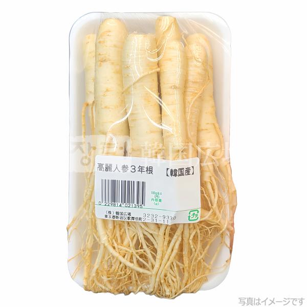 生 高麗人参 韓国産 3年根【140】/ 韓国食品 韓国食材 インサム スサム ginseng