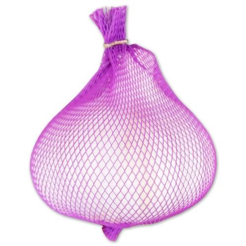 モラドにんにく 1個 スペイン産