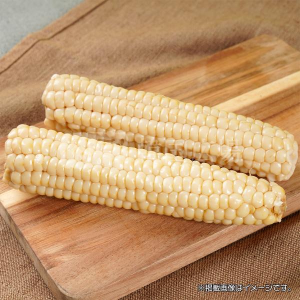 軸付きとうもろこし 240g (2本) 韓国産 / 自家製