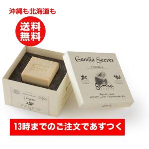 ガミラシークレット オリジナル ソープ 115g  洗顔 ニキビ対策 石鹸 洗顔料