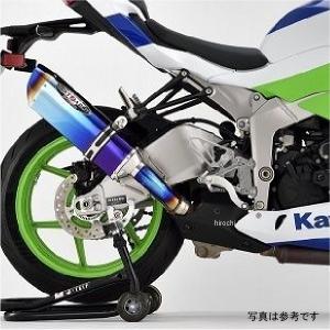 AKRAPOVIC（アクラポビッチ） 直送品 スリップオンライン カーボン