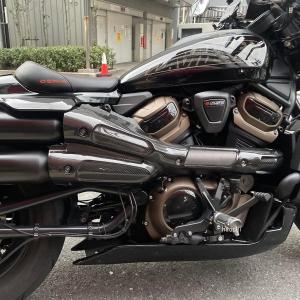 モーターステージ 22125011 ドライカーボン マフラーヒートガード 21年