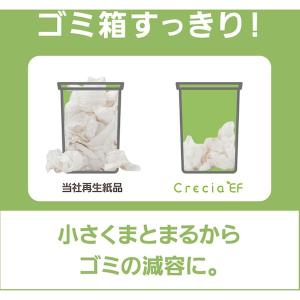【メーカー在庫あり】 37005 日本製紙クレ...の詳細画像5