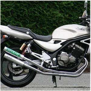 1064 アールピーエム RPM フルエキゾースト デュアル 右2本出し