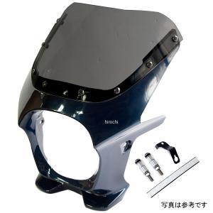 ds-06r-6 ワールドウォーク ビキニカウルR Z900RS キャンディトーンブルー/スモーク HD店