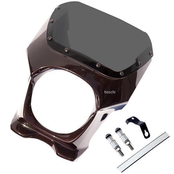 ds-06r-5 ワールドウォーク ビキニカウルR Z900RS 50th・キャンディダイヤモンドブ...