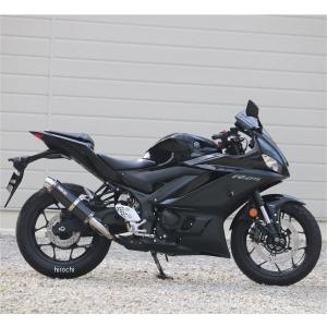 AKRAPOVIC（アクラポビッチ） スリップオンライン (チタン) マフラー