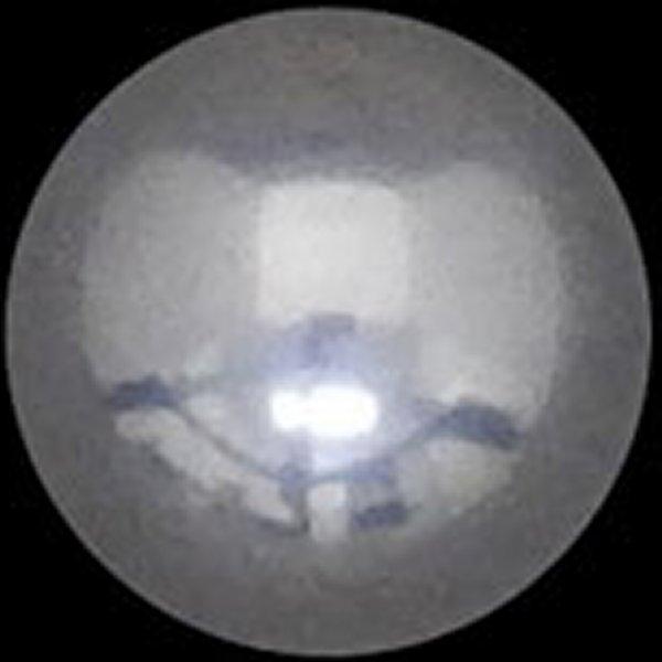 【メーカー在庫あり】 013115 50-8091 S&amp;Sサイクル S&amp;S Cycle オイルポンプ...